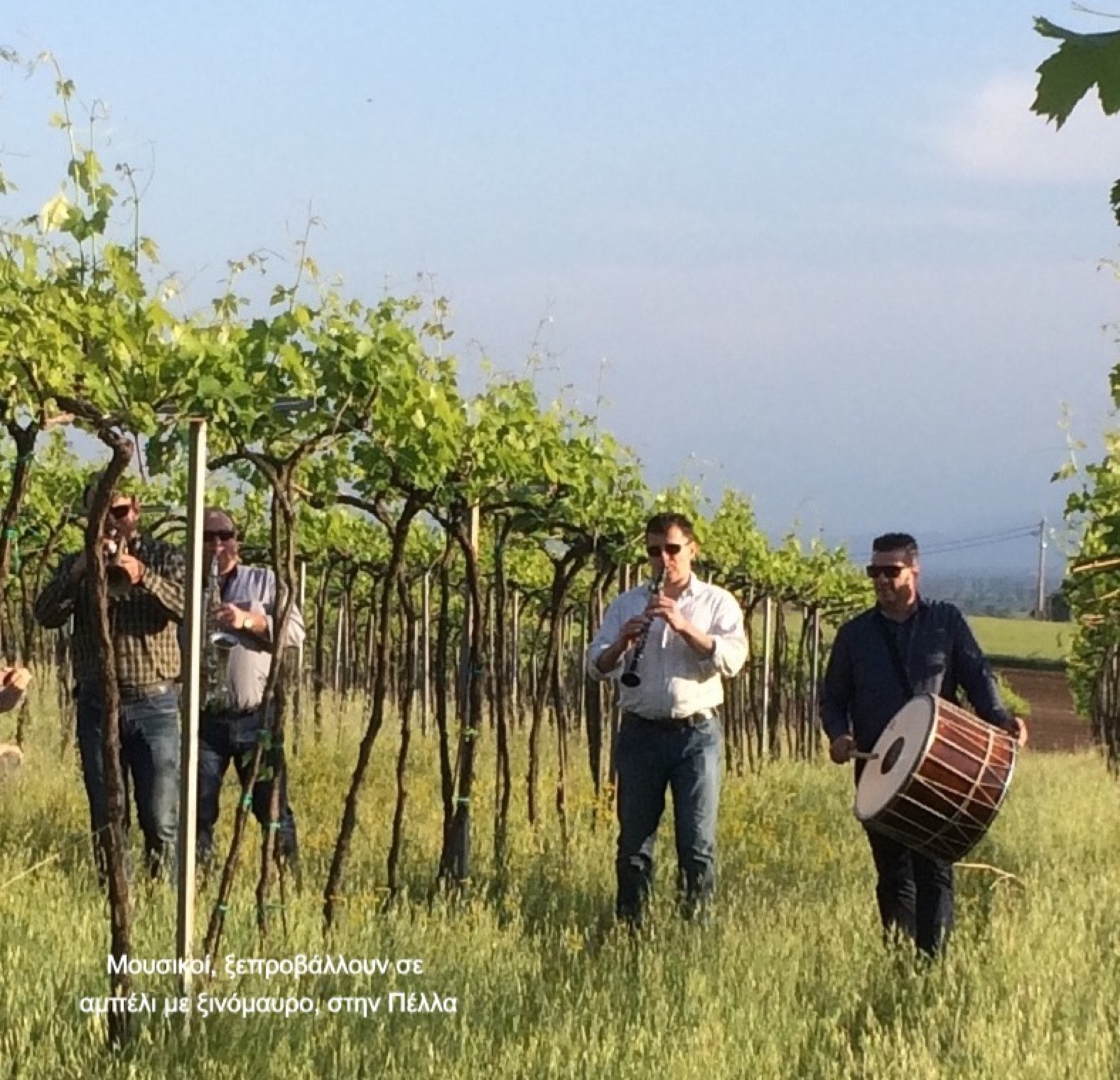 eGreekWine No3 — εικόνα 3